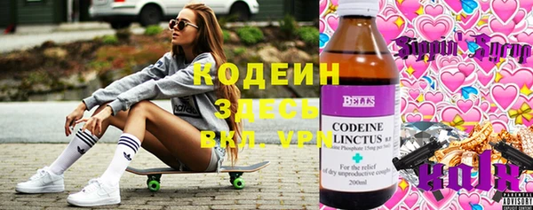 гидра Алексин