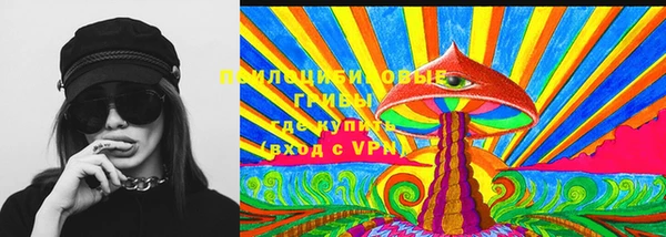 гидра Алексин
