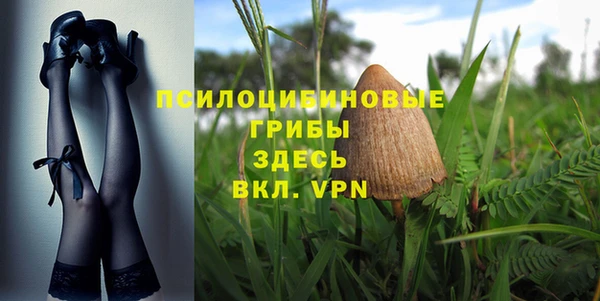 гидра Алексин