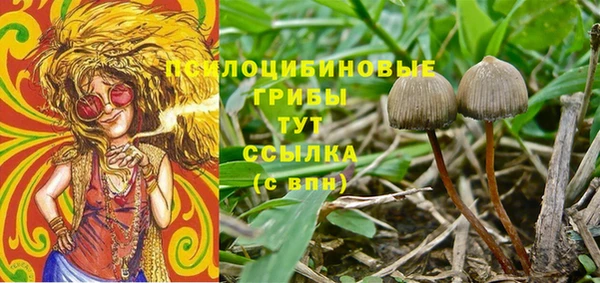 гидра Алексин