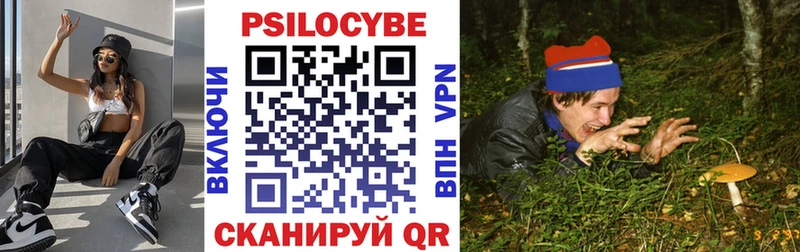 Псилоцибиновые грибы прущие грибы  Новоузенск 